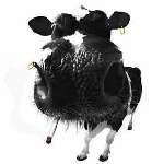 super vache